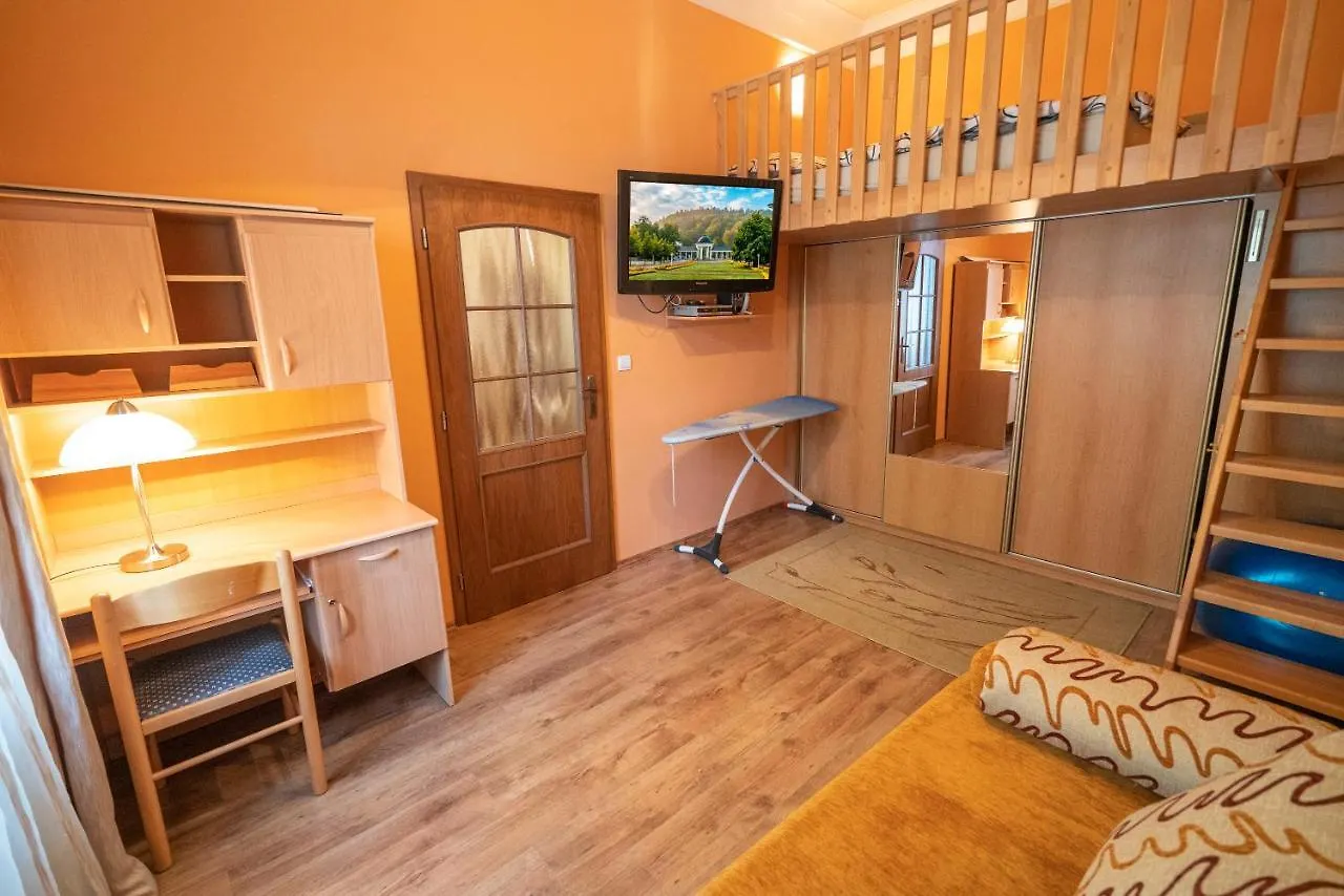 Apartment Ferdinand Karlovy Vary