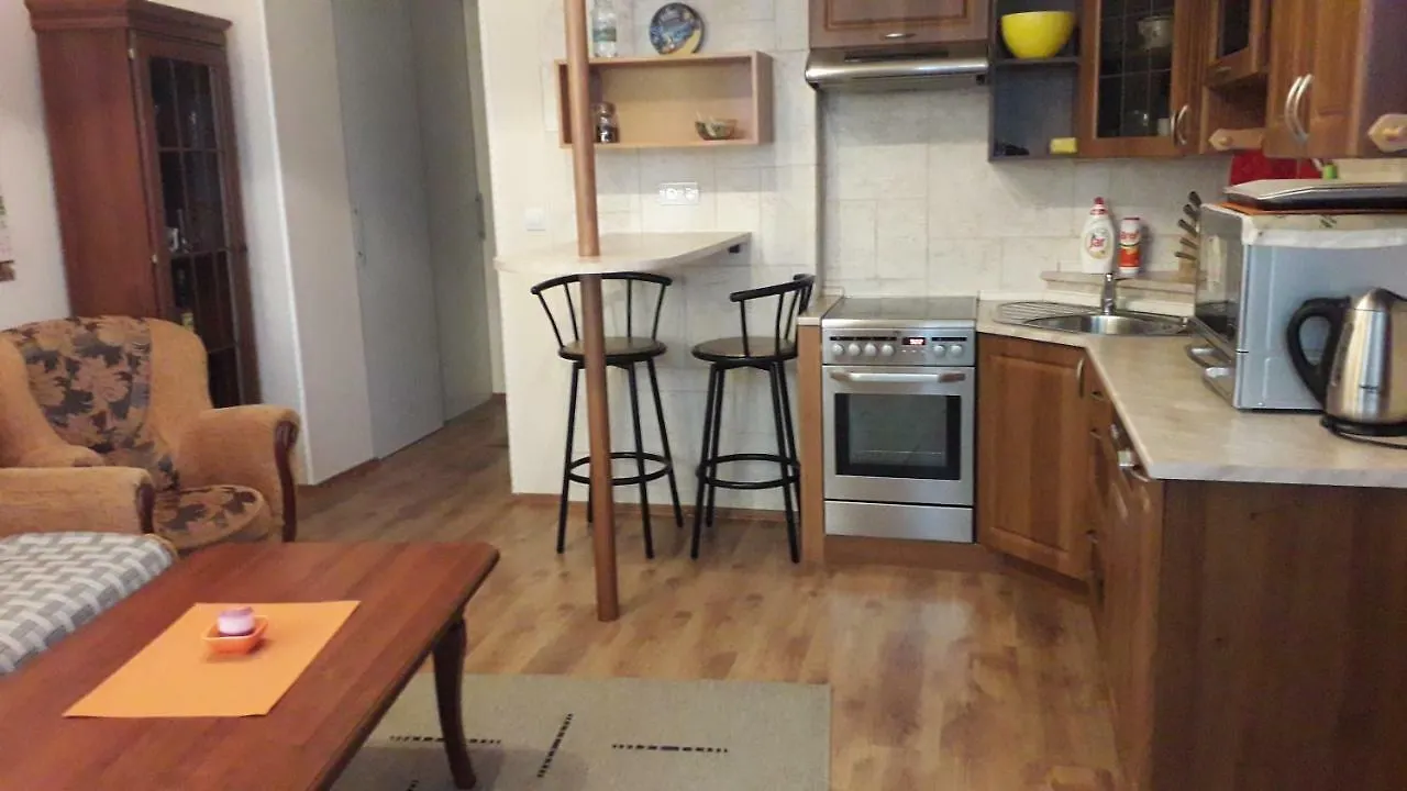 Apartment Ferdinand Karlovy Vary