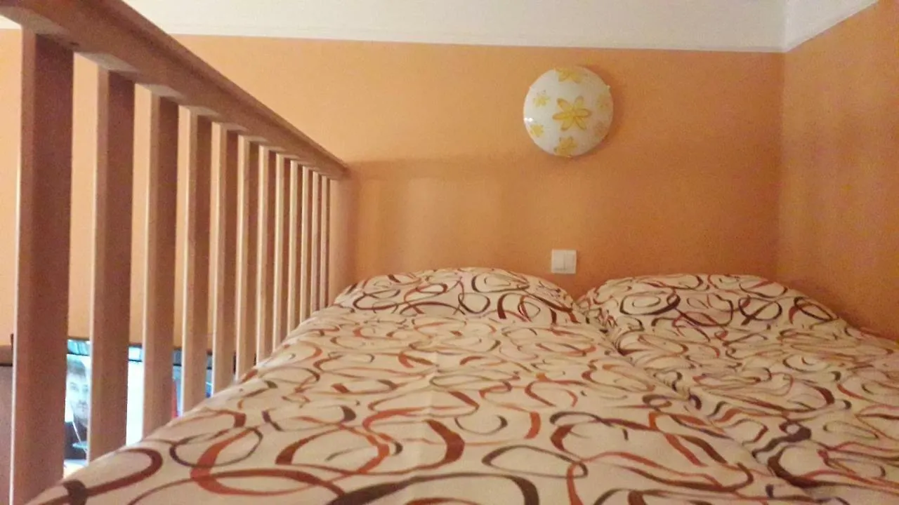 Apartment Ferdinand Karlovy Vary